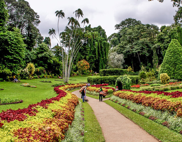 Peradeniya Botanical garden